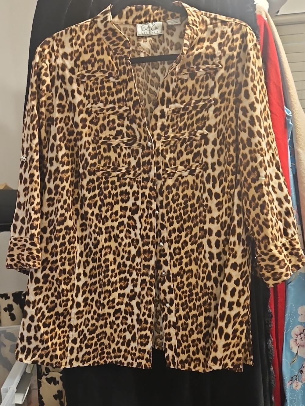 Leopard Print Button-Down Shirt in Brown/Black